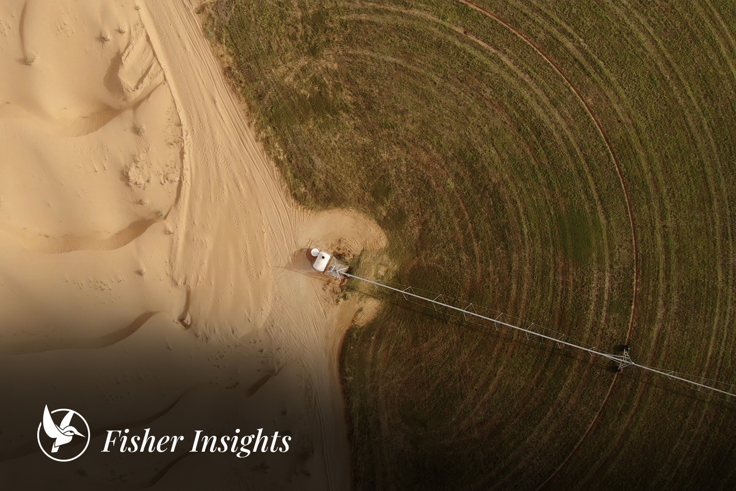 Agriculture in the GCC: Growth, Innovation, and Emerging Career Paths